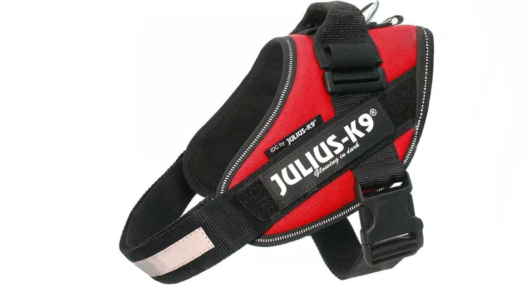 Julius-K9 Powerharness