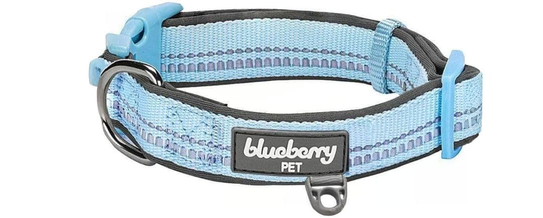 Blueberry Pet Adjustable Collar