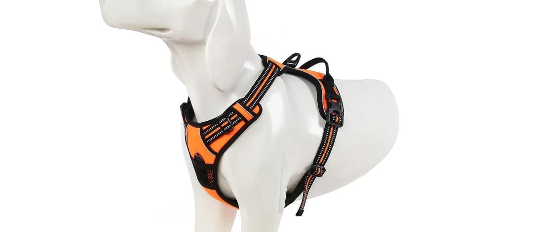 Chai’s Choice Outdoor Harness