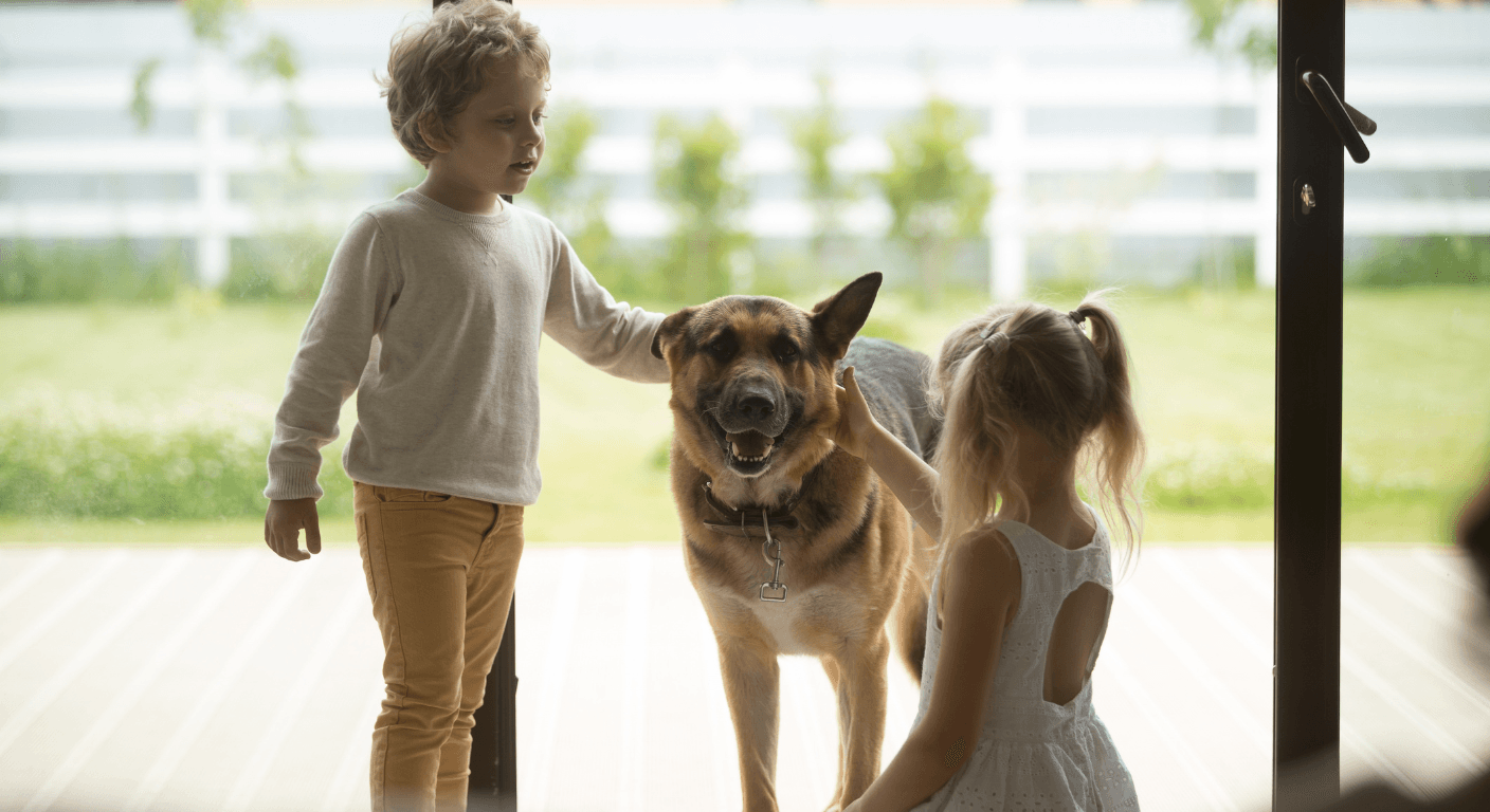 Family-Friendly German Shepherd